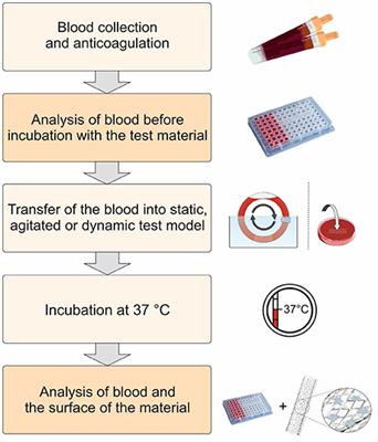 Blood-Contacting Biomaterials: <mark class="highlighted">In Vitro Evaluation</mark> of the Hemocompatibility